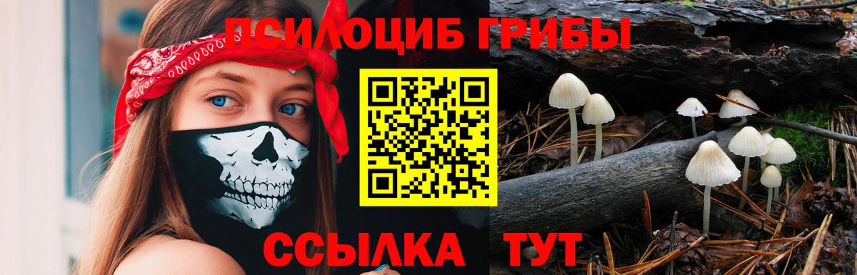 Верхняя Пышма  Псилоцибиновые грибы Psilocybe  Галлюциногенные грибы Cubensis  Вход с VPN 